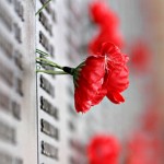 462px-Remebrance_poppy_ww2_section_of_Aust_war_memorial