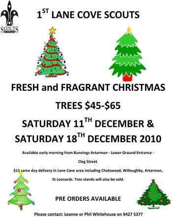 SCOUTS-XMAS-TREE-POSTER2010 Scouts Christmas Tree Poster