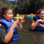 waterbabies